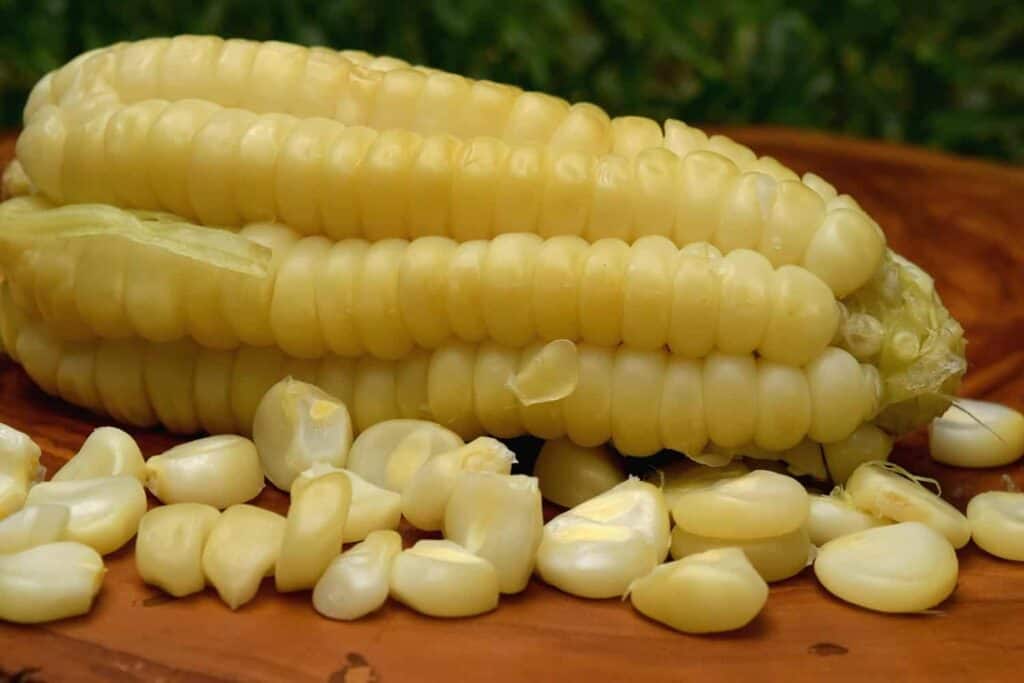 choclo, peruvian corns