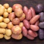 peruvian potato varieties