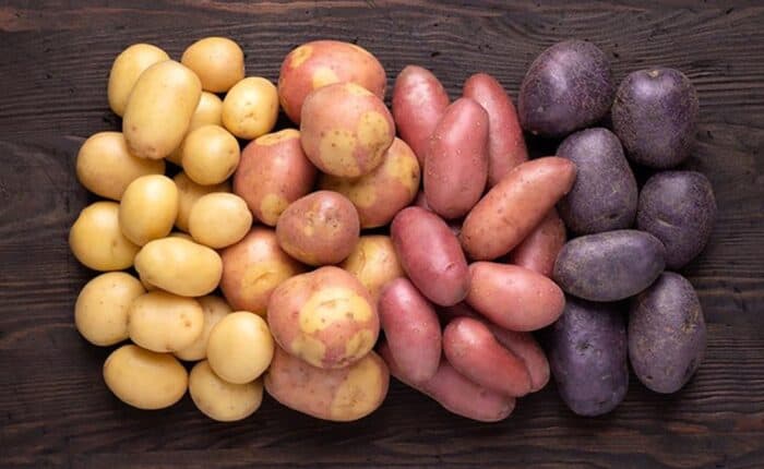peruvian potato varieties