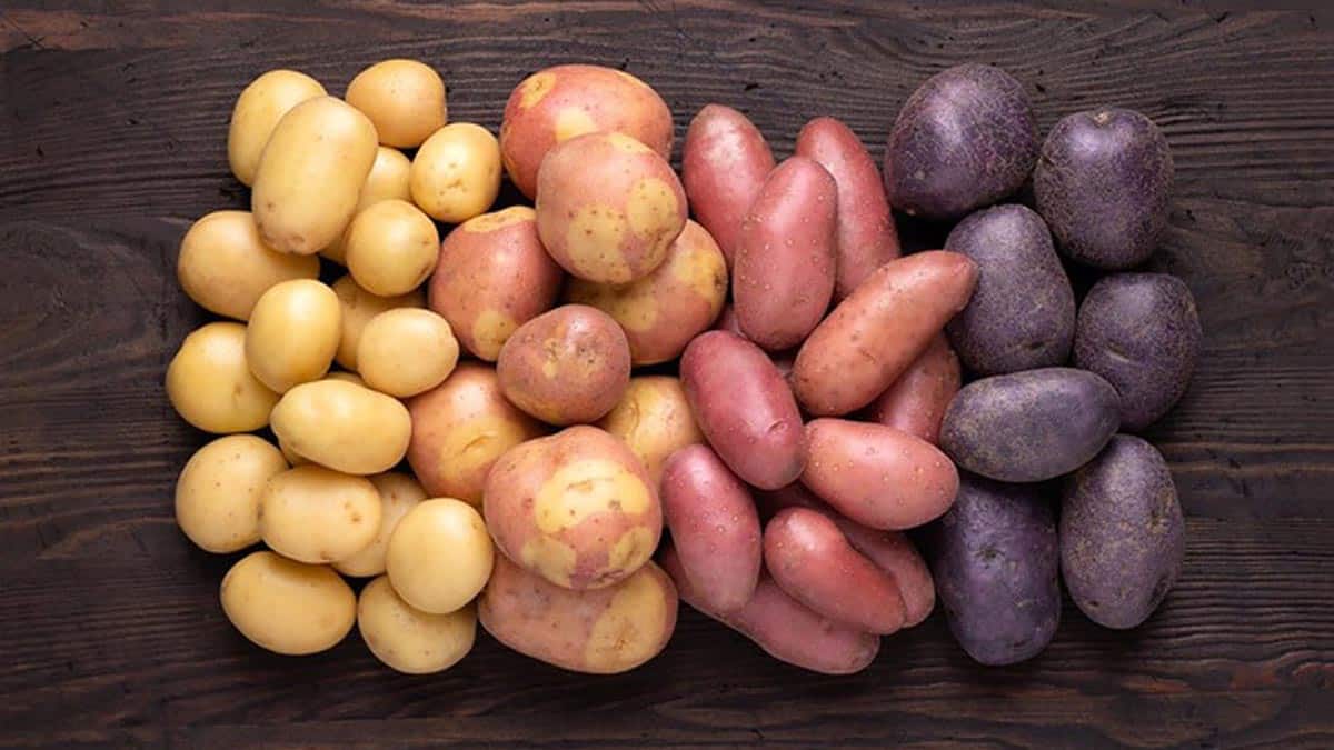 peruvian potato varieties