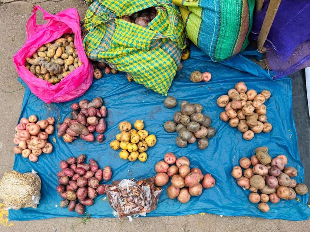 peruvian potatoes at local market in peru