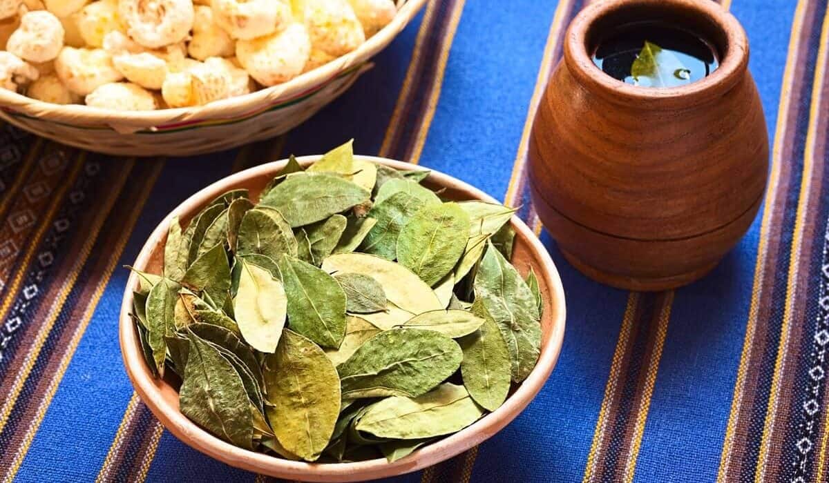benefits of coca leaves