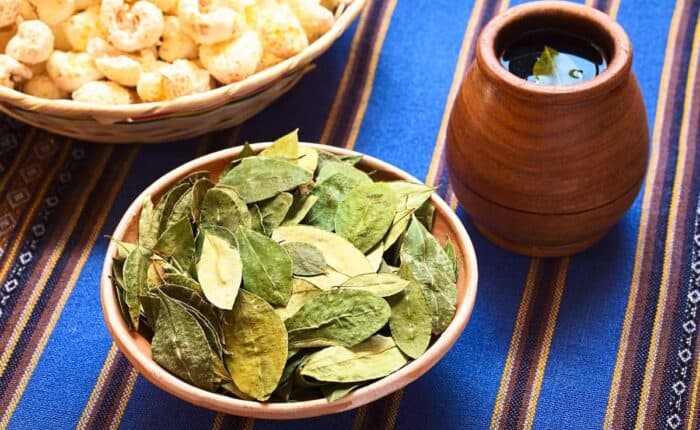 benefits of coca leaves