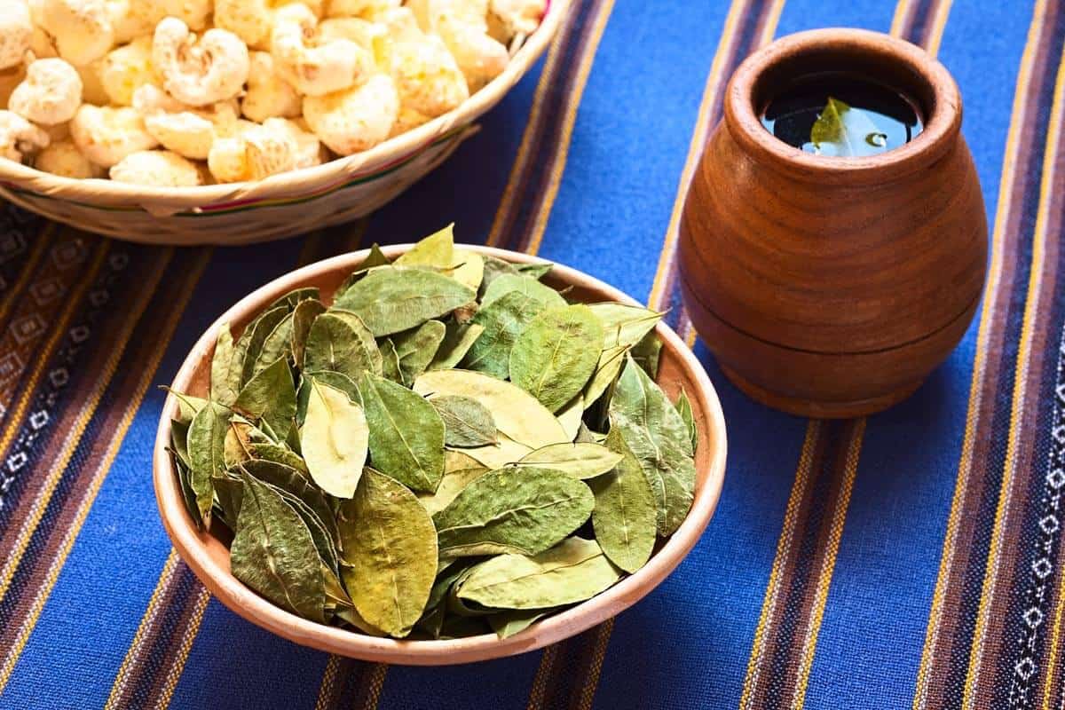 benefits of coca leaves