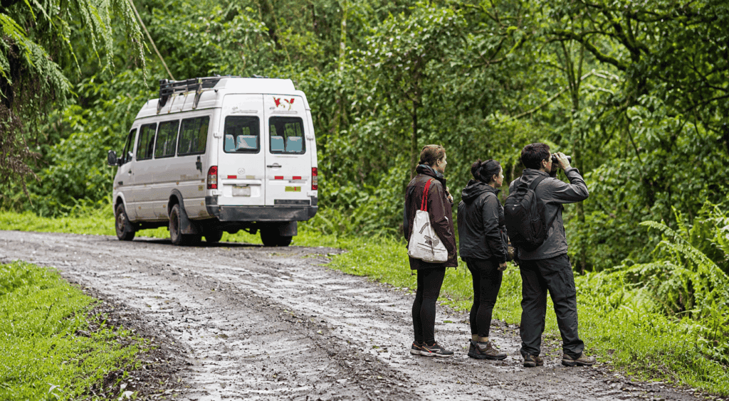 group of tourists watching birds at manu park