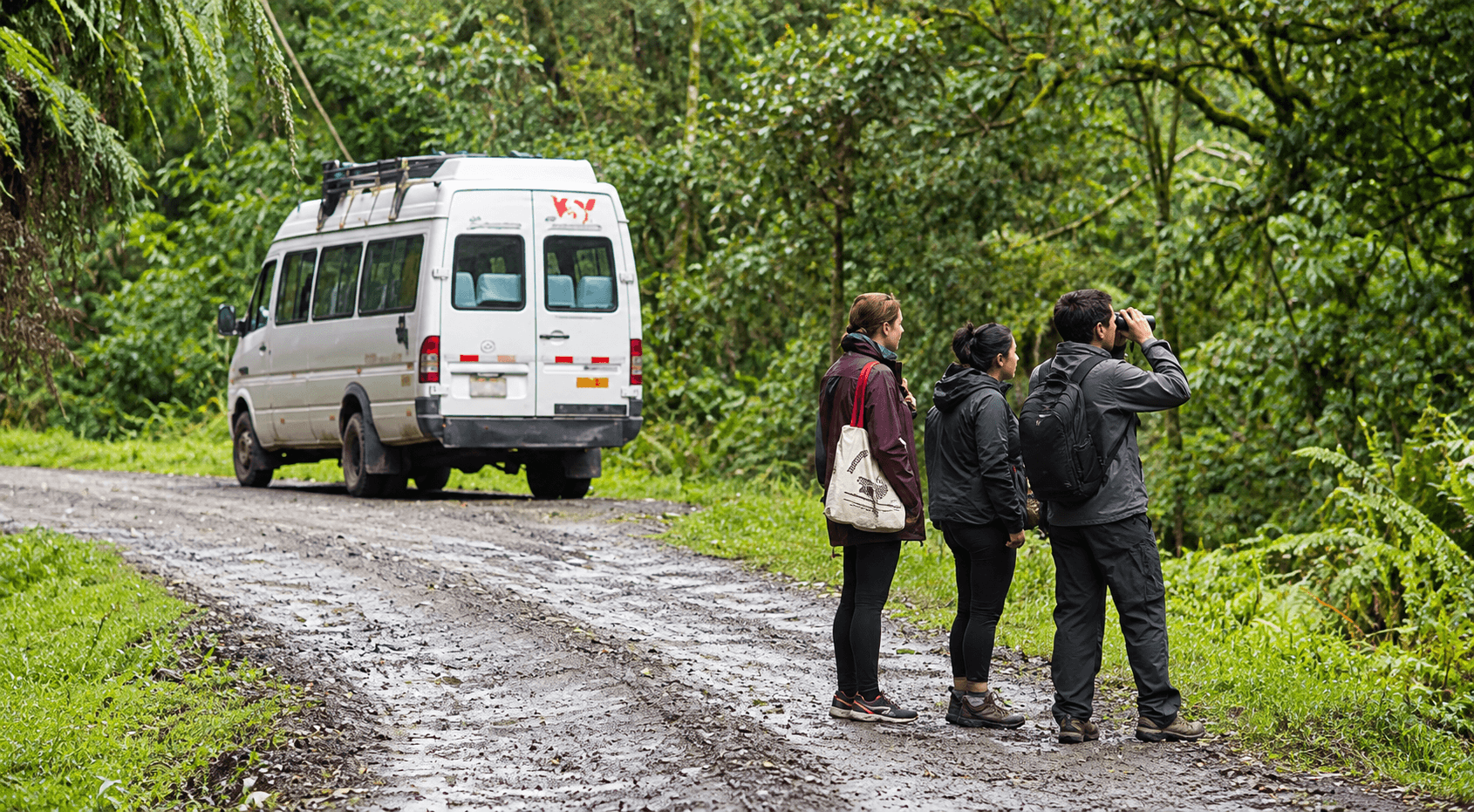 people standing on muddy road in Manu National Park and watching birds.